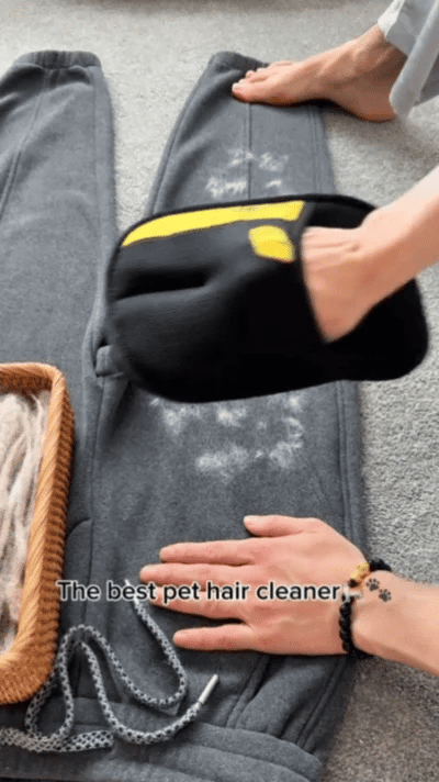 WagMitt Pet Fur Removal Mitt